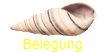 Belegung