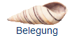Belegung