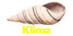 Klima