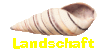 Landschaft