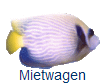 Mietwagen