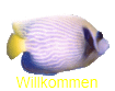 Willkommen