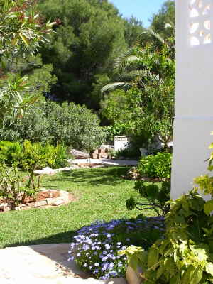 Villa Los Pinos